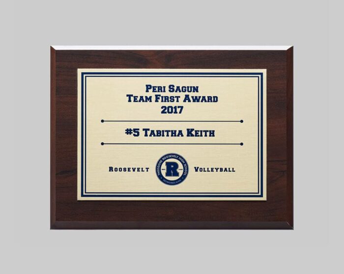 2017 Plaque custom plaque for sports by APS