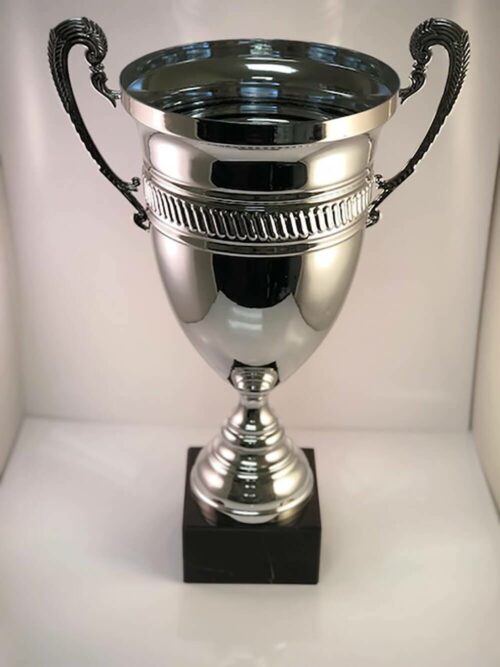 silver cup trophy