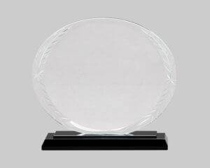 Glass oval award.