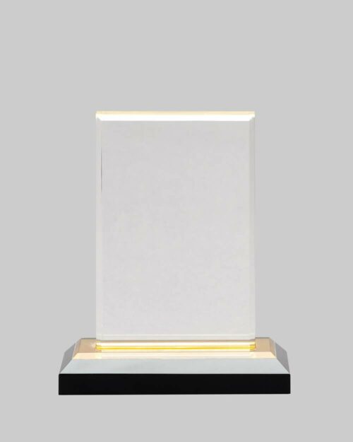 Acrylic award with gold base.